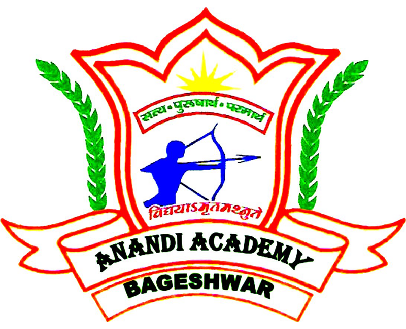 Anandi Academy