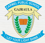 CARMEL PUBLIC SCHOOL