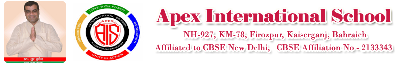 Apex International School