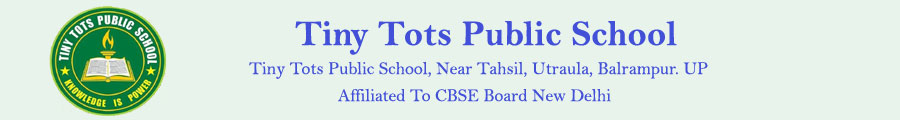 TINY TOTS PUBLIC SCHOOL