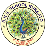 B.N.S. SCHOOL