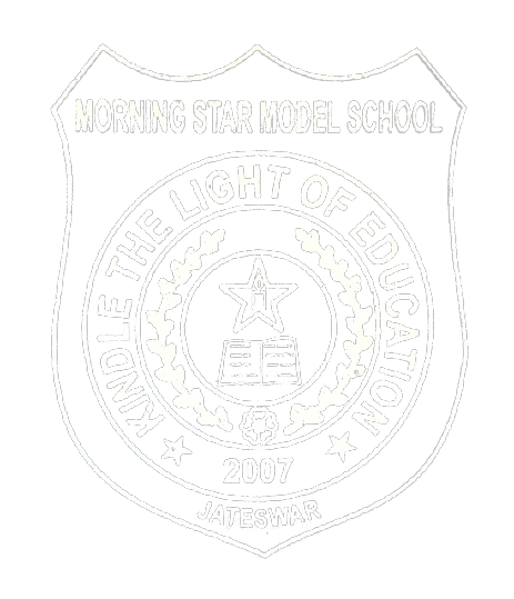 MORNING STAR MODEL SCHOOL