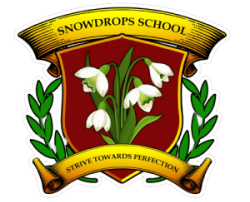  Snowdrops School